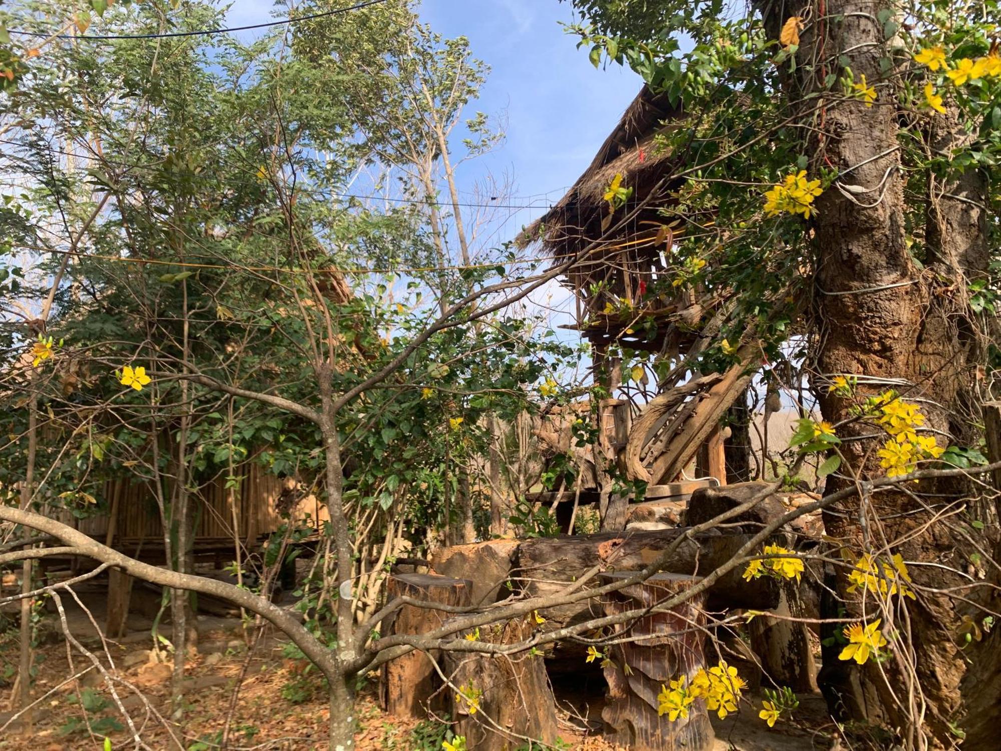 Khu Du Lich Sinh Thai, Nghi Duong Homestay Hoang Anh - Kon Xom Luh Tỉnh Kontum 외부 사진